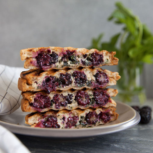 Blackberry and cream cheese grilled sandwich